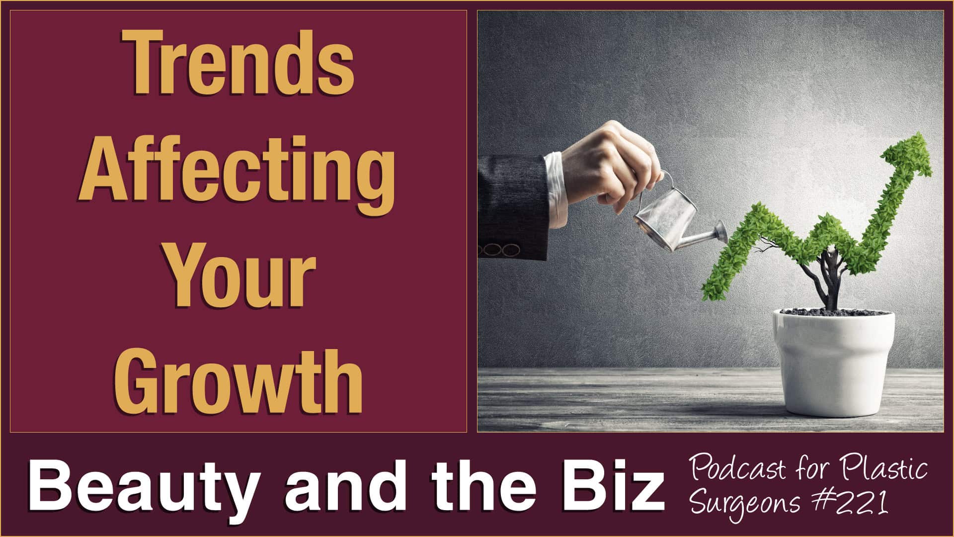 Beauty and the Biz Ep. 221 • Trends Affecting Your Growth • www.CatherineMaley.com
